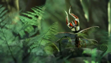 Devil's Flower Mantis